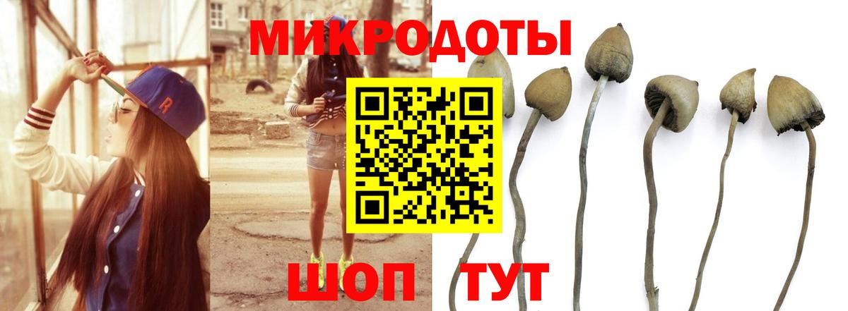 Псилоцибиновые грибы Psilocybine cubensis  сколько стоит  Нефтеюганск  Вход с VPN 